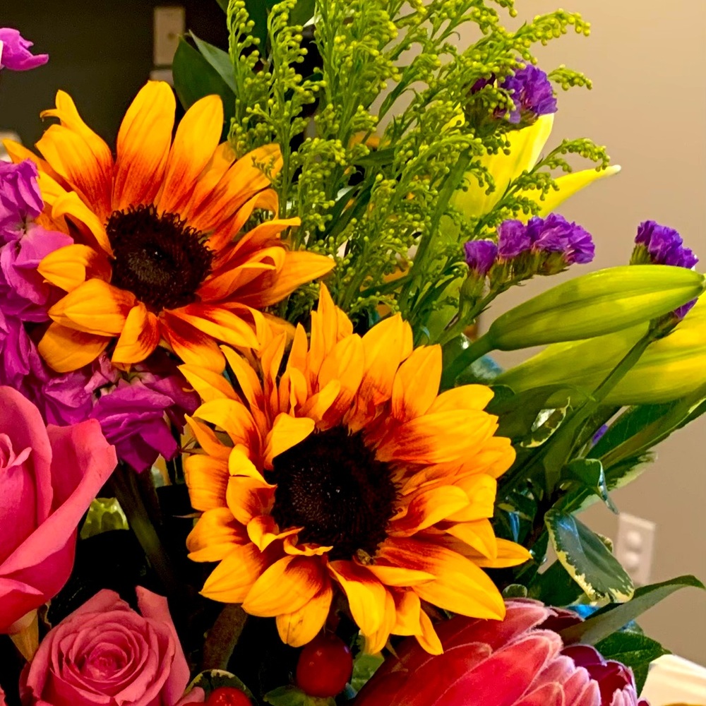 Meet your Posher, Georgena